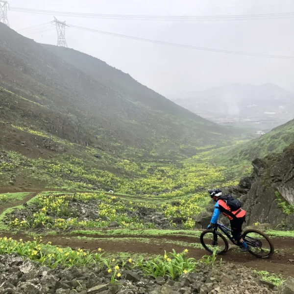 adv-03-pachacamac-02