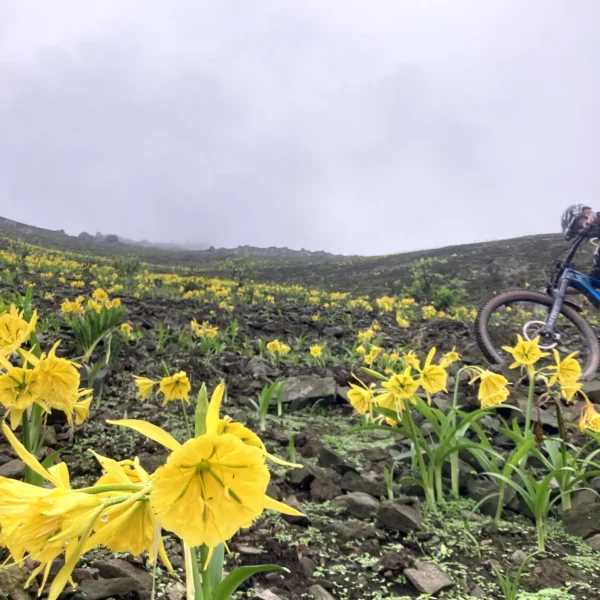 adv-03-pachacamac-05