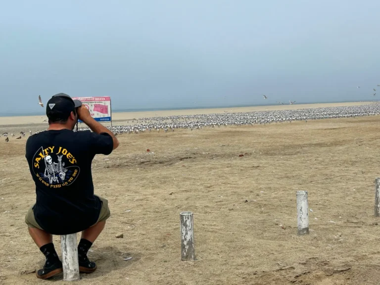 Birdwatching in Perú