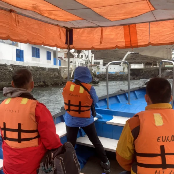 adv-06-birdwatching-05