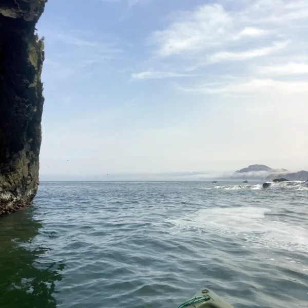 Sea Kayaking Pucusana 04