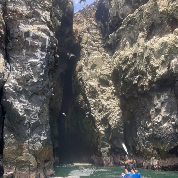 Sea Kayaking Pucusana 06